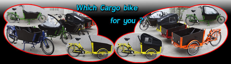 Cargo bike